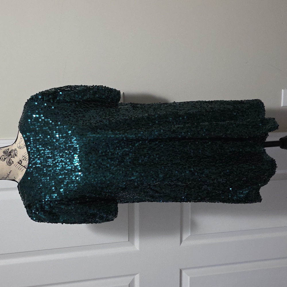 Vine & Love Sequin Mini Dress Green, Blue Sx Small